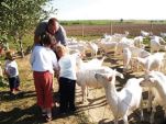 From Field to School